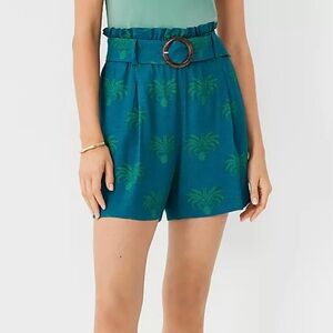 Ann Taylor belted shorts new without tags size XXS